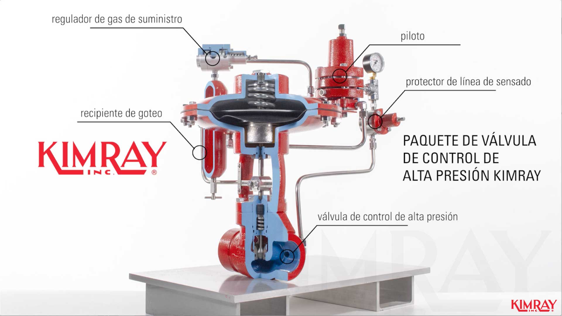 Cómo标识los components Clave en su Paquete de Pálvula de Control