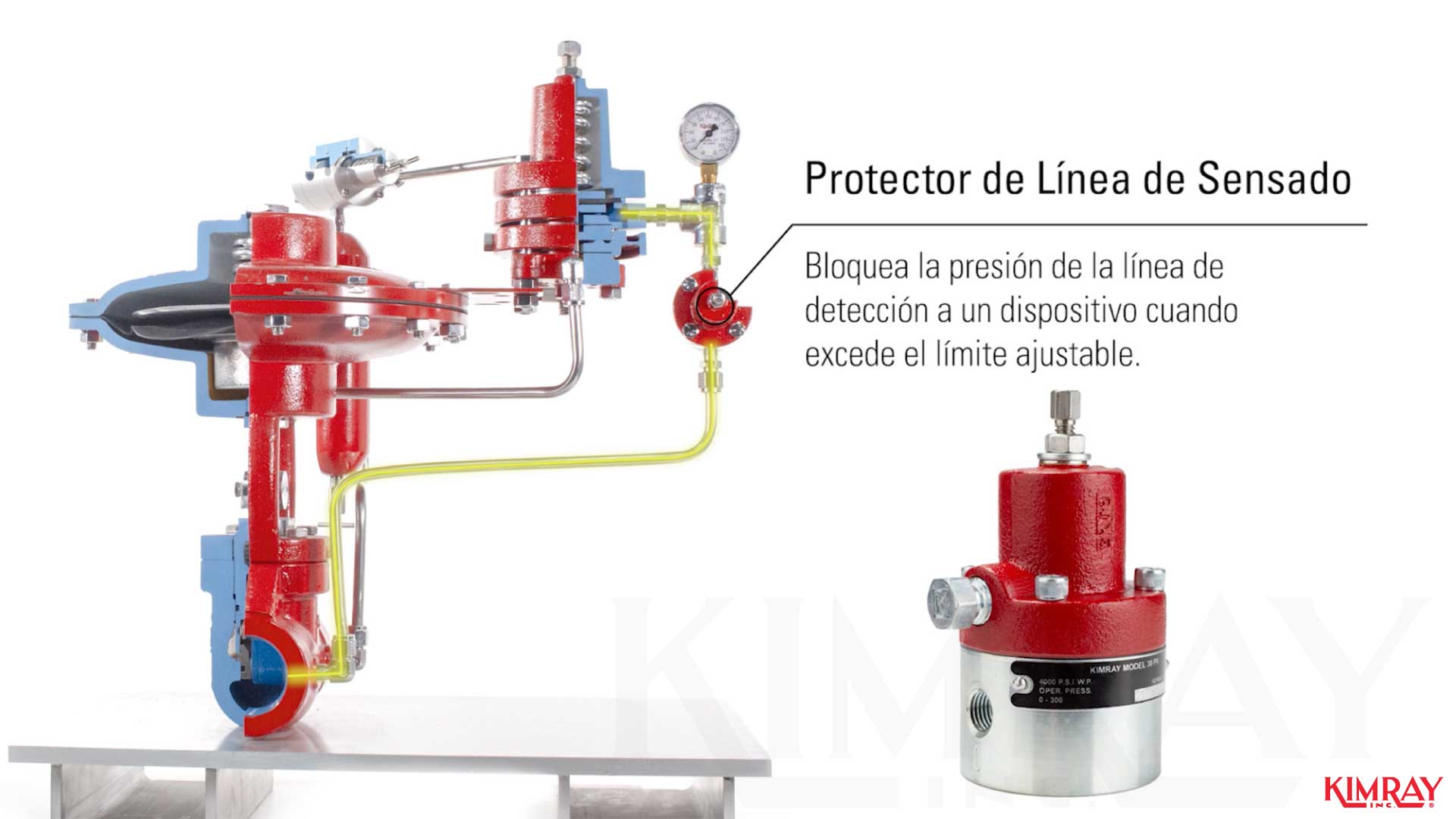 Cómo标识los components Clave en su Paquete de Pálvula de Control