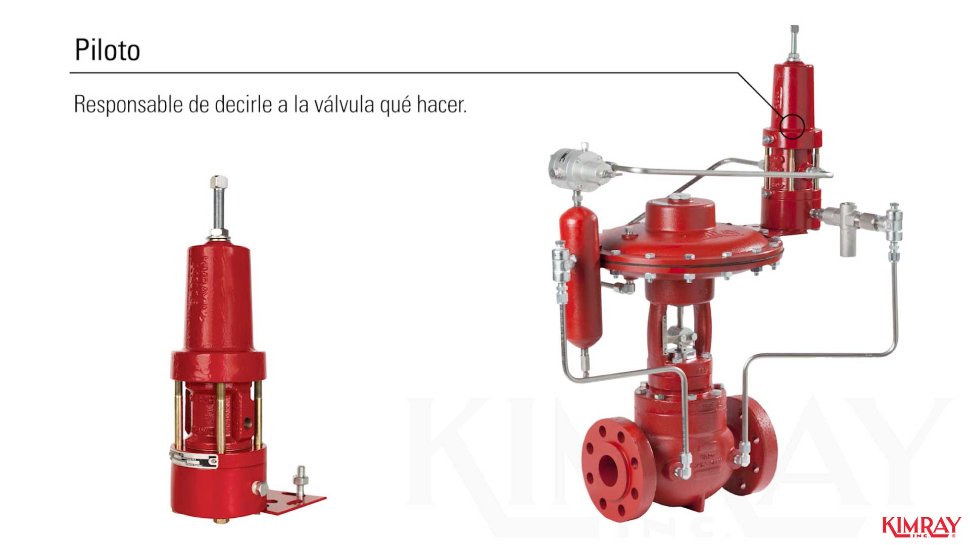 Cómo标识los components Clave en su Paquete de Pálvula de Control